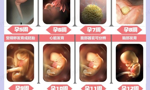 怀孕一个月吃啥最好-权威怀孕一个月吃了很多药孩子能要吗平台,分享专业怀孕一个月吃什么最好知识_怀孕一个月吃消炎药有影响吗网