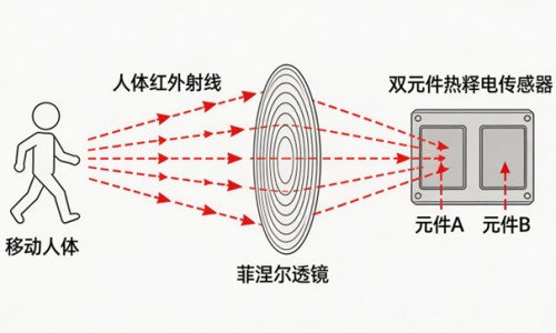 怀孕一个月吃啥最好对胎儿好-权威怀孕一个月吃了很多药孩子能要吗平台,分享专业怀孕一个月吃什么最好知识_怀孕一个月吃消炎药有影响吗网